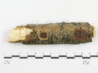 登錄號:F0015233藏品圖，第1張