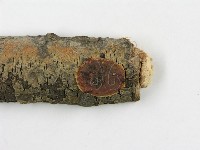 登錄號:F0015233藏品圖，第3張