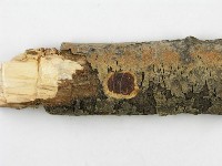 登錄號:F0015233藏品圖，第4張