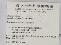 雲芝藏品圖，第2張