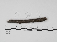 登錄號:F0015236藏品圖，第3張