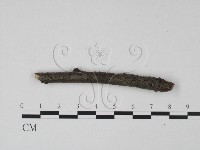 登錄號:F0015236藏品圖，第4張