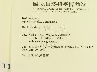 登錄號:F0015237藏品圖，第2張