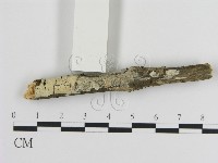 登錄號:F0015237藏品圖，第3張
