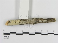 登錄號:F0015237藏品圖，第4張