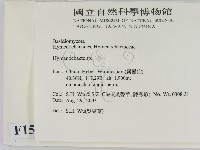 刺革菌屬藏品圖，第2張