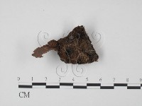 登錄號:F0015244藏品圖，第1張