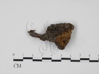 登錄號:F0015244藏品圖，第3張