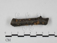 登錄號:F0015245藏品圖，第1張