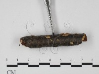 登錄號:F0015245藏品圖，第3張