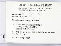 登錄號:F0015247藏品圖，第2張