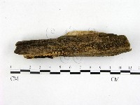 登錄號:F0015247藏品圖，第1張