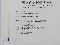 裂褶菌藏品圖，第2張