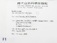 登錄號:F0015249藏品圖，第2張