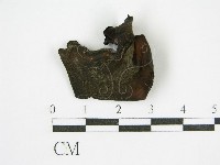 登錄號:F0015249藏品圖，第1張