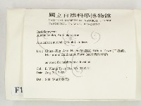 登錄號:F0015250藏品圖，第2張