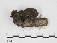 登錄號:F0015250藏品圖，第1張