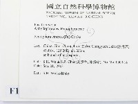 登錄號:F0015252藏品圖，第2張