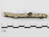 登錄號:F0015252藏品圖，第1張