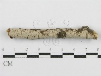 登錄號:F0015252藏品圖，第3張