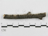 登錄號:F0015252藏品圖，第4張