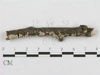 登錄號:F0015252藏品圖，第5張