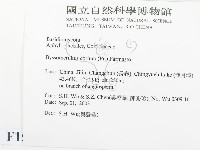 登錄號:F0015254藏品圖，第2張