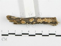 登錄號:F0015254藏品圖，第1張