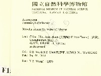 登錄號:F0015257藏品圖，第2張