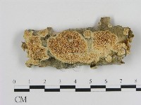 登錄號:F0015259藏品圖，第1張