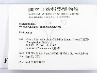 木層孔菌屬藏品圖，第2張