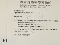 韌革菌屬藏品圖，第2張