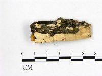登錄號:F0015264藏品圖，第1張