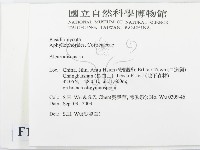 盤革菌屬藏品圖，第2張