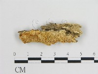 登錄號:F0015269藏品圖，第1張