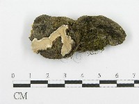 登錄號:F0015270藏品圖，第3張