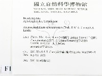 登錄號:F0015271藏品圖，第2張