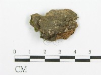 登錄號:F0015271藏品圖，第3張