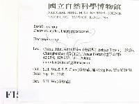 登錄號:F0015273藏品圖，第2張