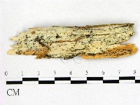 登錄號:F0015274藏品圖，第1張