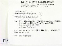 登錄號:F0015276藏品圖，第2張