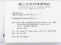 登錄號:F0015277藏品圖，第2張