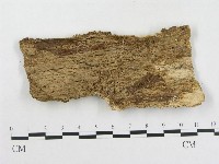 登錄號:F0015277藏品圖，第3張