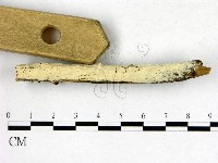 登錄號:F0015279藏品圖，第3張