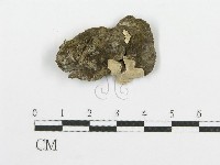 登錄號:F0015282藏品圖，第1張
