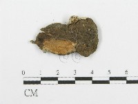 登錄號:F0015282藏品圖，第3張
