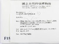 阿太菌屬藏品圖，第2張