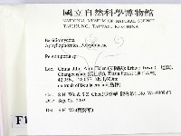 多年臥孔菌屬藏品圖，第2張