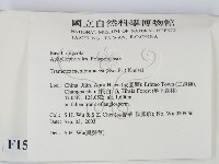登錄號:F0015287藏品圖，第2張