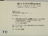 附毛菌屬藏品圖，第2張